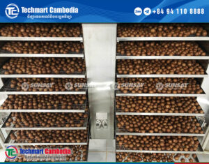 ម៉ាស៊ីនសម្ងួតសម្រាប់ផលិតផលចំណីអាហារនៅកម្ពុជា-SUNSAY